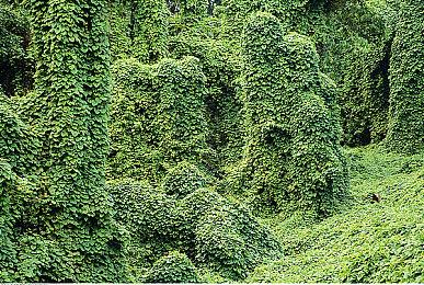 翘首以盼 《真人快打12》的消息可能很快就要来了