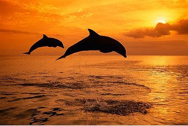 剑灵衍生新作《剑灵：英雄》上线Steam 免费游玩